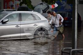 Благоевград - буря - наводнения