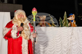 Ямбол - коледна елха