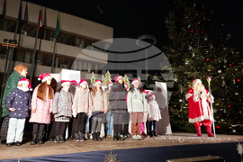 Ямбол - коледна елха