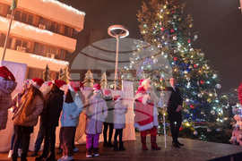 Ямбол - коледна елха