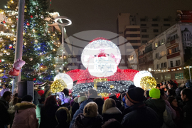 Ямбол - коледна елха