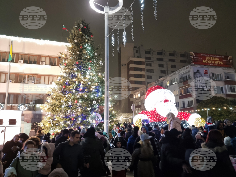 Ямбол - коледна елха