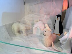 Снимка: Община Видин