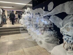 Снимка: Община Видин