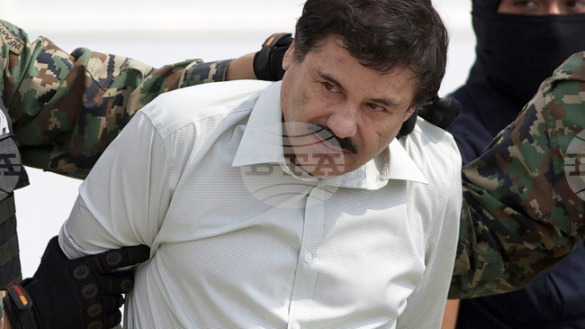 Един от синовете на мексиканския наркобос Ел Чапо днес се очаква да промени пледирането си за невинност по дело за трафик на наркотици в САЩ