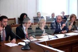 Парламент - Комисия по конституционни въпроси - заседание