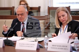 Парламент - Временна комисия - БФС - заседание