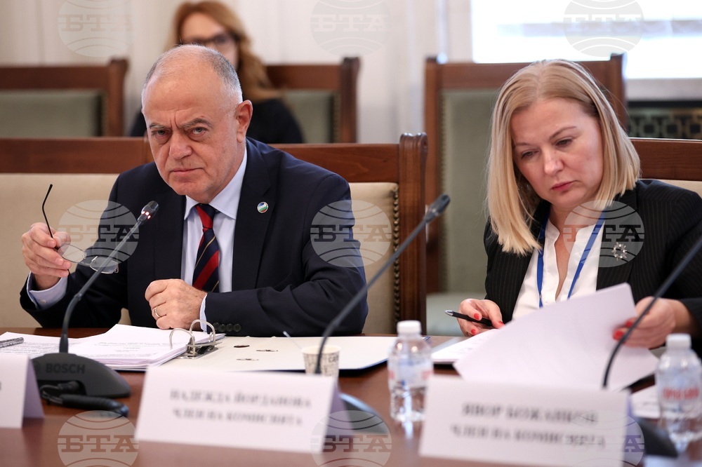 Парламент - Временна комисия - БФС - заседание