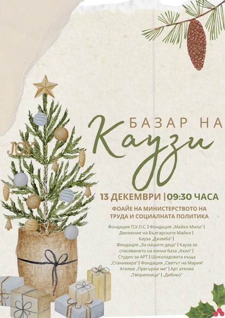 Коледен базар на каузите в МТСП