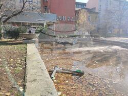 Снимка: БСП