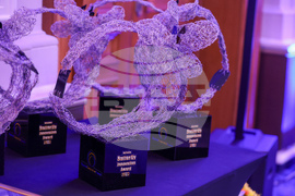 Butterfly Innovation Awards - награди