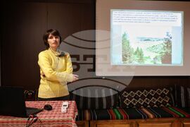 Бургас - коледната елха - тематична лекция