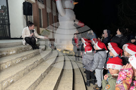 Село Енина - елха - коледни светлини