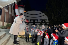 Село Енина - елха - коледни светлини