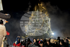 Село Енина - елха - коледни светлини