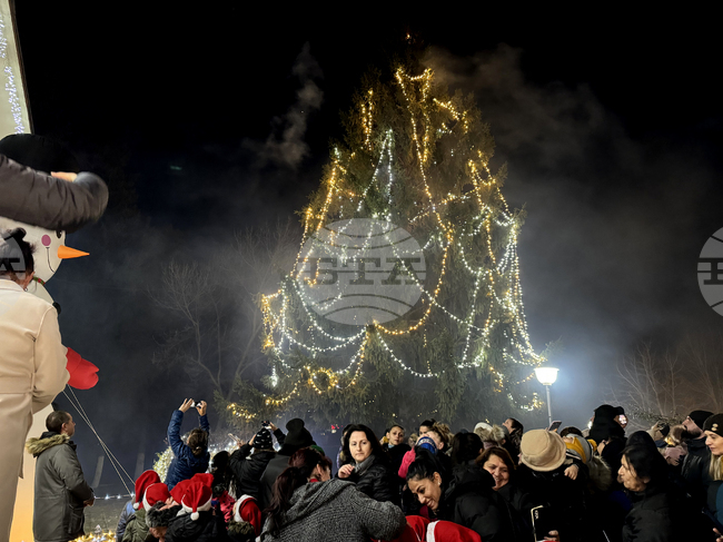 Село Енина - елха - коледни светлини