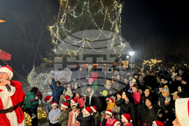 Село Енина - елха - коледни светлини