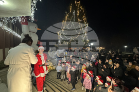 Село Енина - елха - коледни светлини