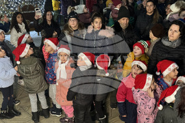 Село Енина - елха - коледни светлини