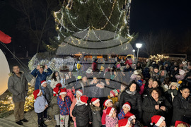 Село Енина - елха - коледни светлини