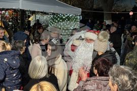 Село Енина - елха - коледни светлини