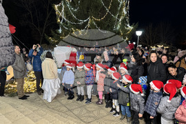 Село Енина - елха - коледни светлини