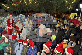 Село Енина - елха - коледни светлини