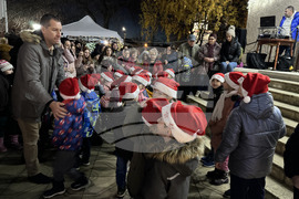 Село Енина - елха - коледни светлини