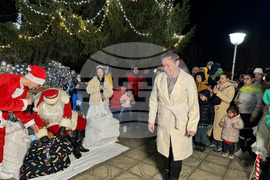 Село Енина - елха - коледни светлини