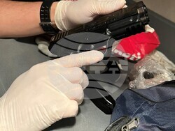 Контрабандно пренасяне на 8 пистолета и 148 патрона