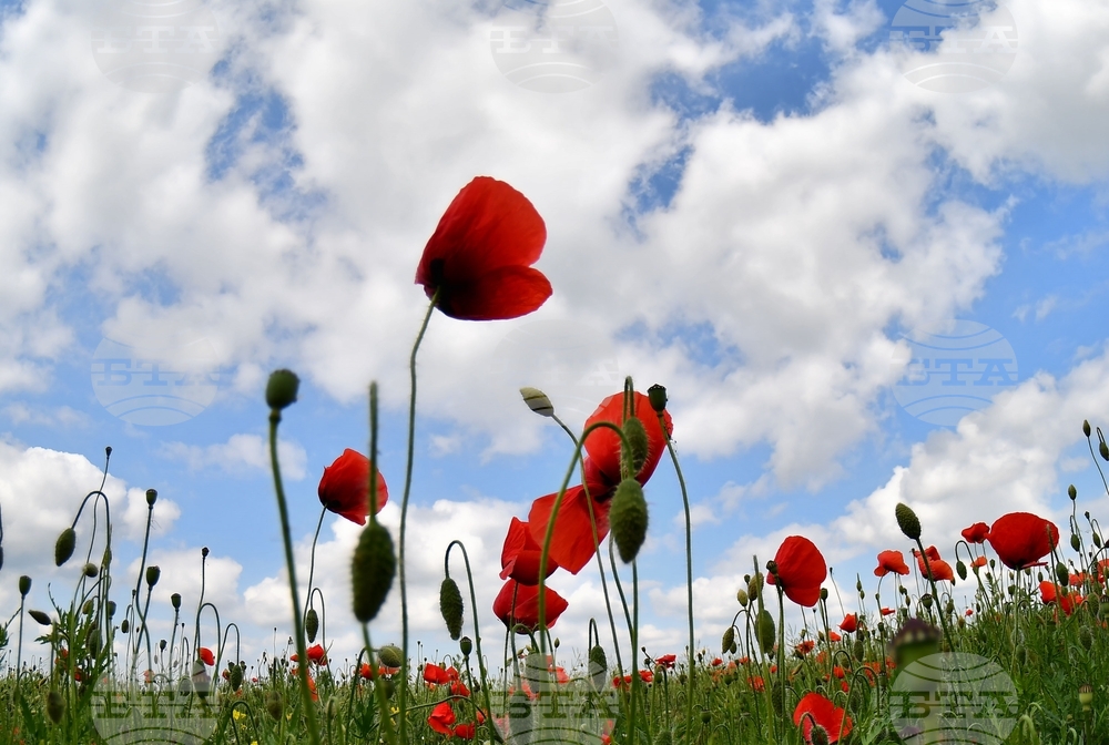 The Weather on May 21