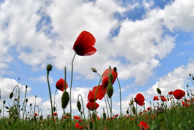 The Weather on May 21