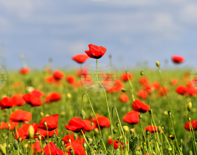 Прогноза за времето 