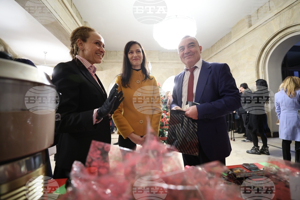 Министерство на труда и социалната политика - коледен базар на каузите