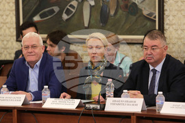 Комисия по въпросите на Европейския съюз - Комисия по бюджет и финанси