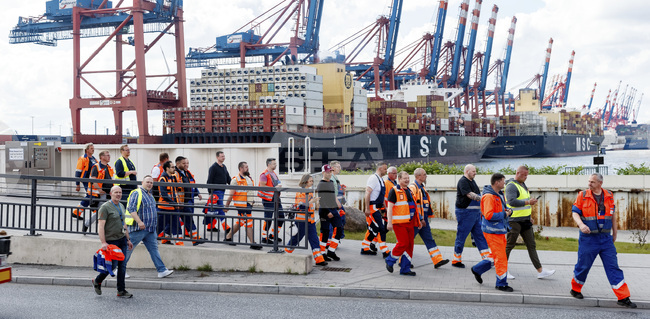 Заетостта сред имигрантите в ЕС регистрира рекорден максимум през 2024 г, според доклад на берлинска фондация