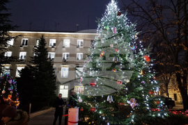 Ямбол - община Тунджа - коледна елха - светлини