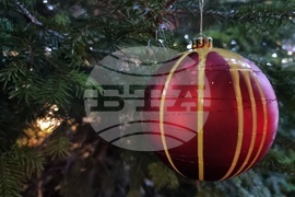 Ямбол - община Тунджа - коледна елха - светлини