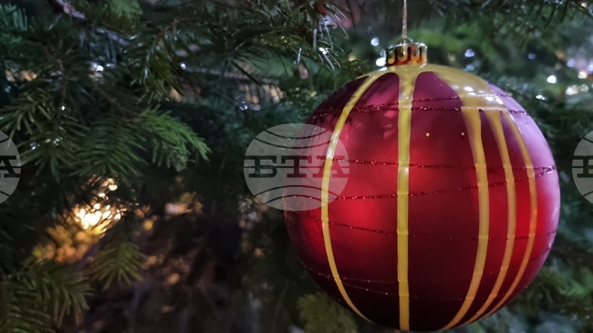 За пета поредна година в ямболското село Роза организират благотворителен коледен концерт и базар