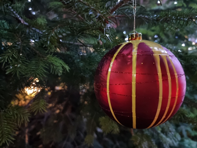 Светлините на коледната елха в Шабла ще бъдат запалени на 5 декември