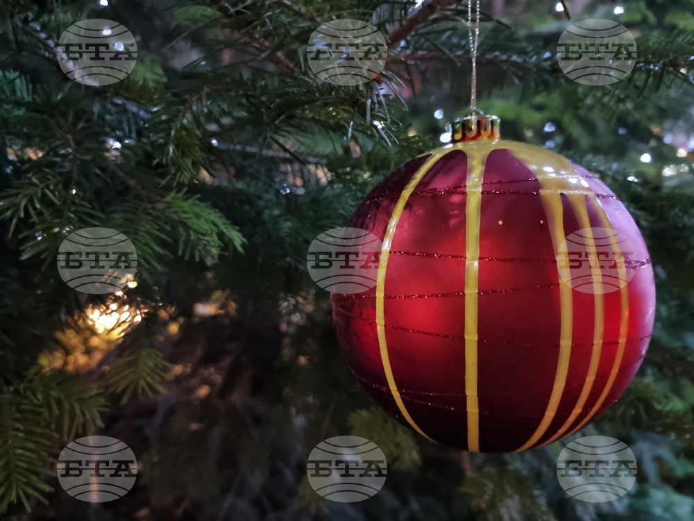 Ямбол - община Тунджа - коледна елха - светлини