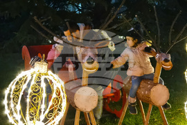 Ямбол - община Тунджа - коледна елха - светлини