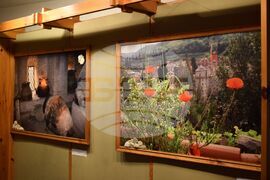 Банско - изложба - беседа - Паисий Хилендарски