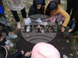 Снимка: Североизточно държавно предприятие ДП Шумен