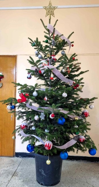 Община Асеновград с конкурс за „Най-атрактивна коледна елха у дома“