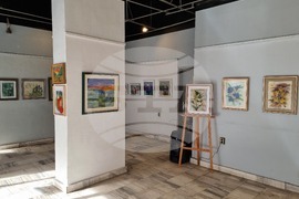 Кърджали - изложба "Не съм сама"