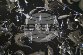 Стара Загора - планетариум - възстановен