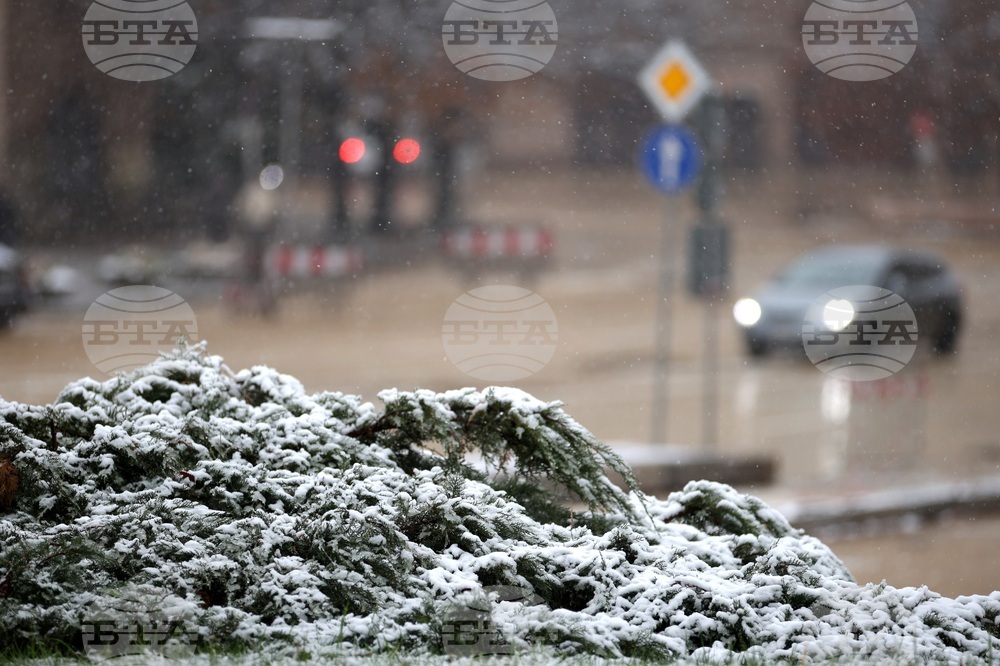 Снеговалеж - ежедневие