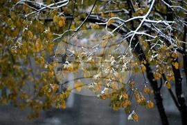 Снеговалеж - ежедневие