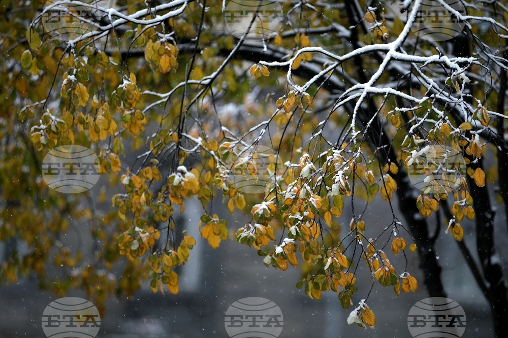 Снеговалеж - ежедневие